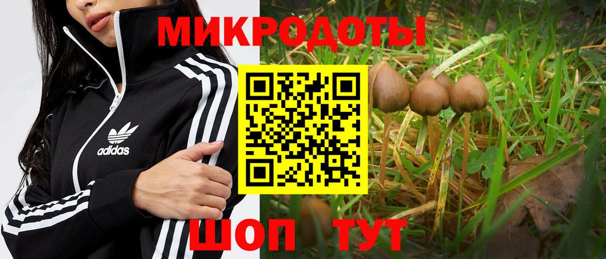 Псилоцибиновые грибы MAGIC MUSHROOMS  Вход с VPN  дарнет шоп  Кировск  Псилоцибиновые грибы Psilocybe 