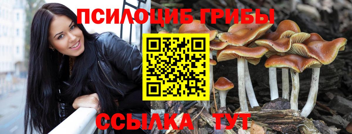 Псилоцибиновые грибы MAGIC MUSHROOMS Кировск